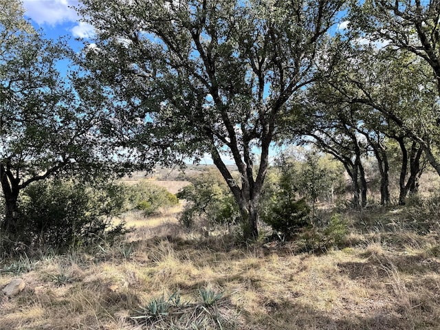 TBDLOT240 Feather Bay Dr, Brownwood, TX 76801