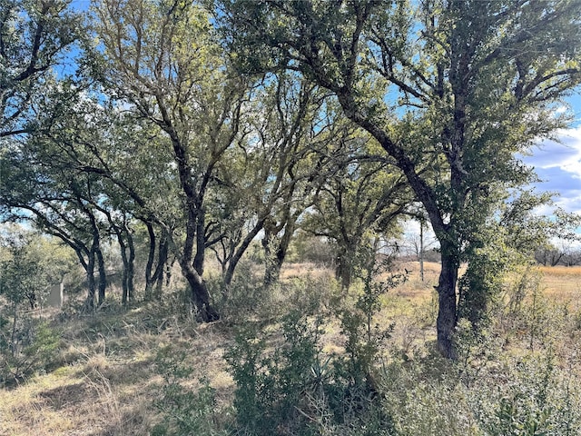 TBDLOT240 Feather Bay Dr, Brownwood, TX 76801