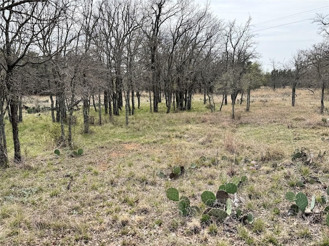 TBDLOT240 Feather Bay Dr, Brownwood, TX 76801