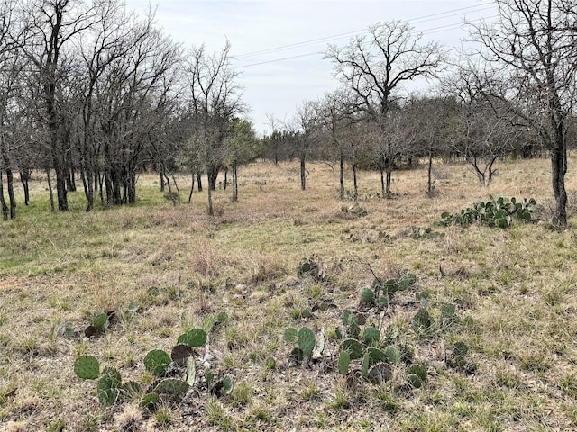 TBDLOT240 Feather Bay Dr, Brownwood, TX 76801
