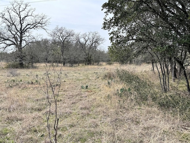 TBDLOT240 Feather Bay Dr, Brownwood, TX 76801