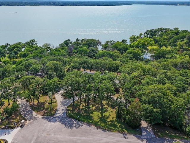 1210 Oak View Ct, Oak Point, TX 75068 - drone / aerial view of a large body of water