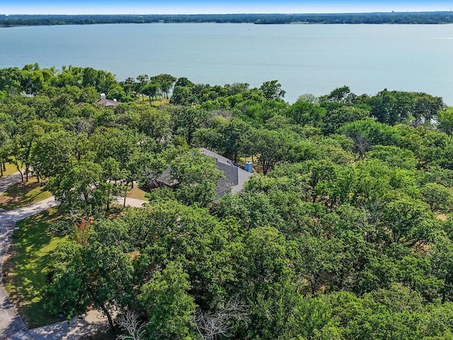 1210 Oak View Ct, Oak Point, TX 75068 - aerial view of a large body of water and a forest