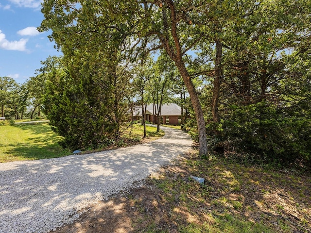 1210 Oak View Ct, Oak Point, TX 75068 - view of dirt / gravel road