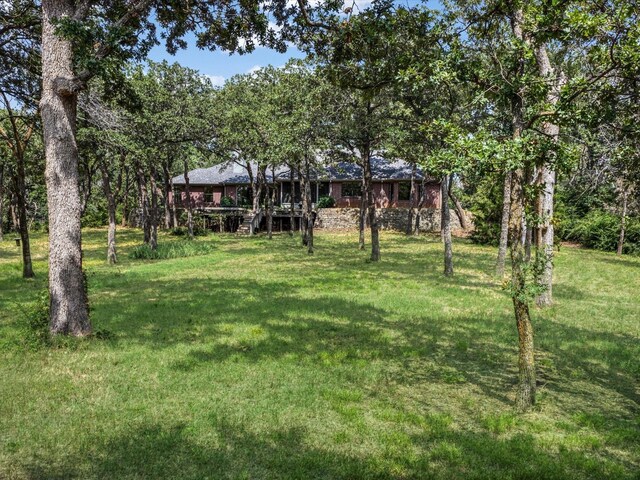 1210 Oak View Ct, Oak Point, TX 75068 - view of green lawn