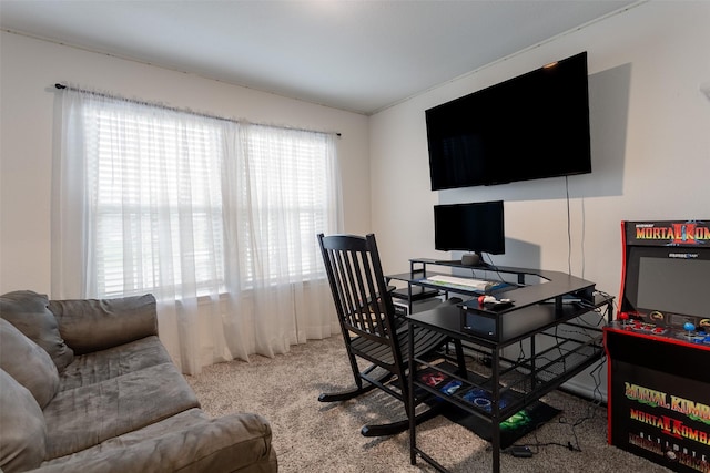 408 Cultivator Ct, Josephine, TX 75189 - office space with carpet