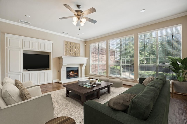 1316 Comal Dr, Allen, TX 75013 - living room with ceiling fan, wood finished floors, plenty of natural light, a warm lit fireplace, and crown molding