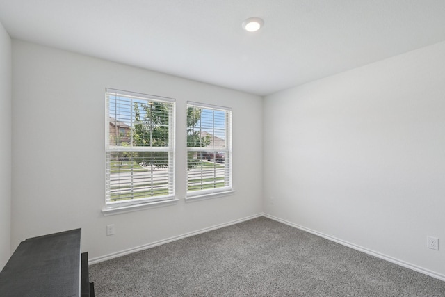 288 Thoroughbred St, Waxahachie, TX 75165 - carpeted empty room featuring baseboards