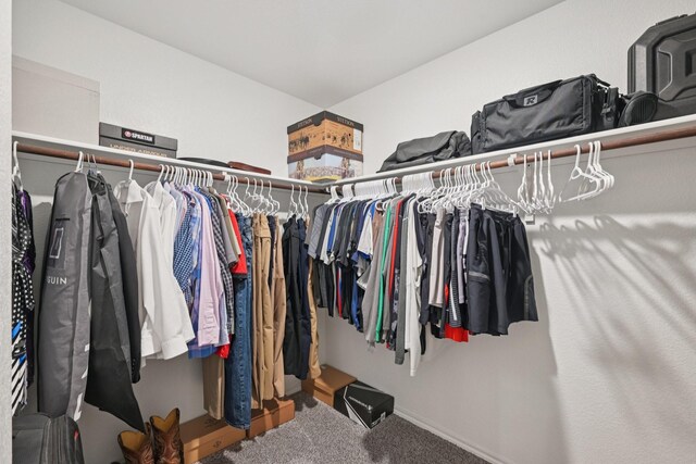 288 Thoroughbred St, Waxahachie, TX 75165 - spacious closet featuring carpet floors