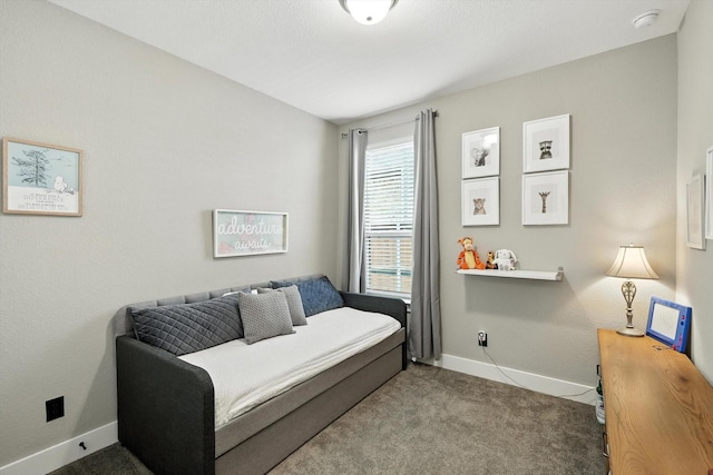 1521 Twistleaf Rd, Flower Mound, TX 76226 - sitting room with carpet and baseboards