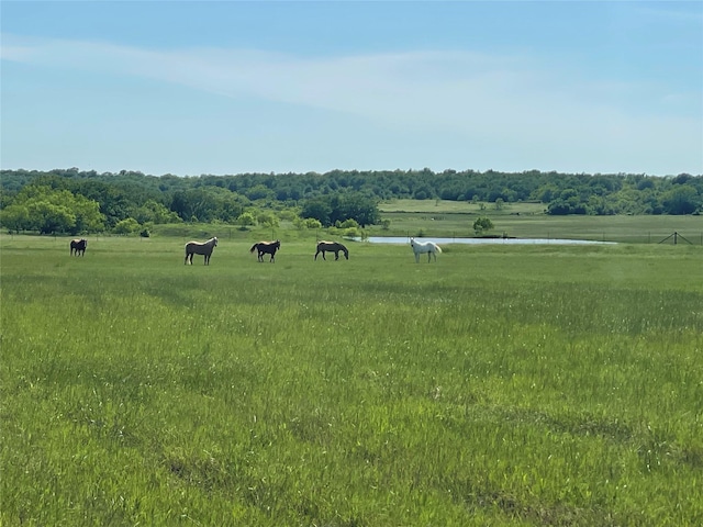 19281 Fm 2127, Bowie, TX 76230