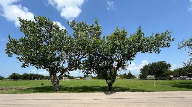 1491 N 4th St, Princeton, TX 75407