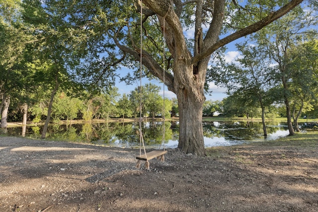 1890 Mcconnell Rd, Gunter, TX 75058 - view of yard featuring a water view