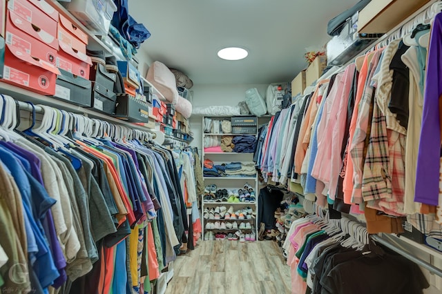 133 Downs Dr, Benton, LA 71006 - walk in closet featuring wood finished floors