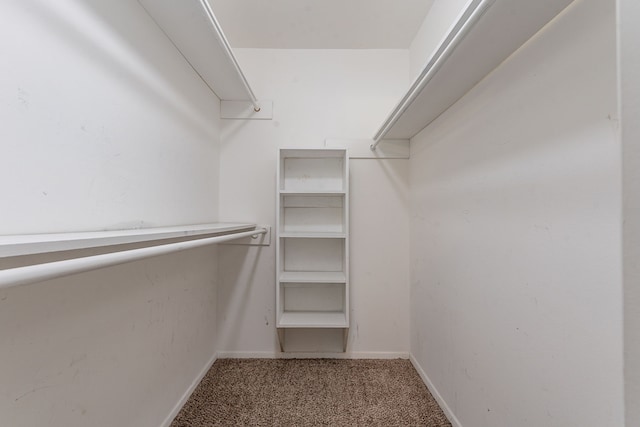 5209 Wolens Way, Fort Worth, TX 76133 - spacious closet with carpet flooring