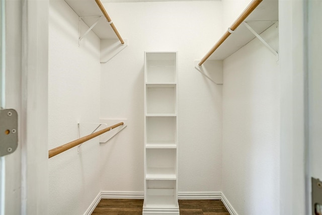 555 Meadowbrook Dr, Burleson, TX 76028 - walk in closet with dark wood-style floors