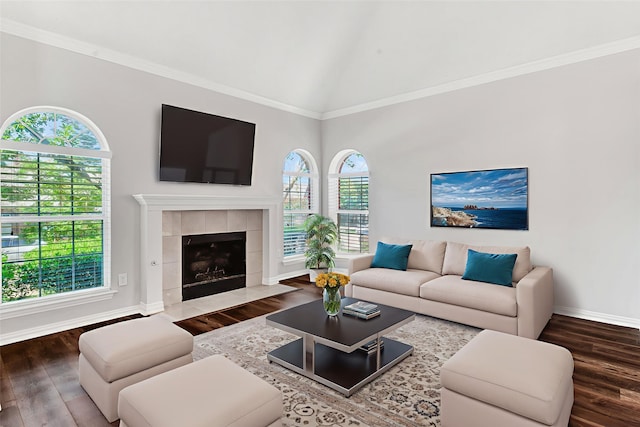 2400 Havard Oak Dr, Plano, TX 75074 - living area with wood finished floors, a tile fireplace, ornamental molding, and high vaulted ceiling