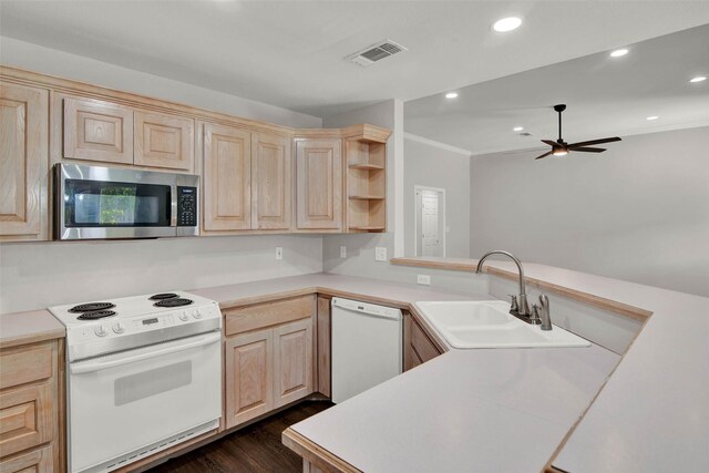 4909 Indio Ln, Sherman, TX 75092 - kitchen featuring white appliances, light brown cabinets, ceiling fan, light countertops, and ornamental molding