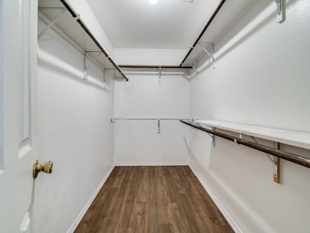 131 Freedom Trl, Forney, TX 75126 - walk in closet featuring dark wood finished floors