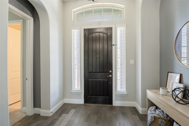 1253 Gray Fox Ln, Frisco, TX 75033 - foyer entrance featuring wood finished floors and healthy amount of natural light