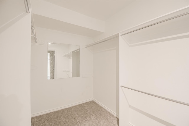 5907 Copperwood Ln Unit 1138, Dallas, TX 75248 - walk in closet with light carpet