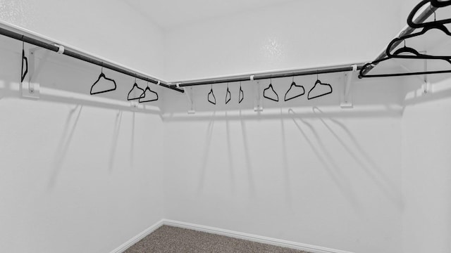 9453 Mint Hill Dr, Fort Worth, TX 76108 - spacious closet featuring carpet flooring