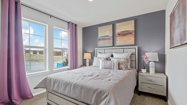 9453 Mint Hill Dr, Fort Worth, TX 76108 - bedroom featuring carpet and multiple windows