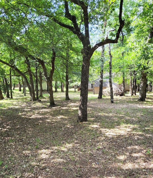 697 Highland Crest Dr, Hurst, TX 76054 - view of nature