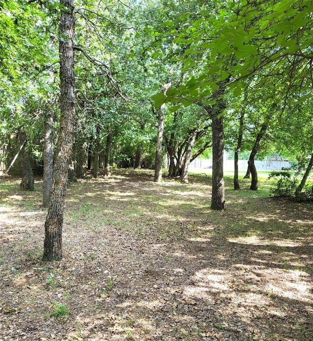 697 Highland Crest Dr, Hurst, TX 76054 - view of yard