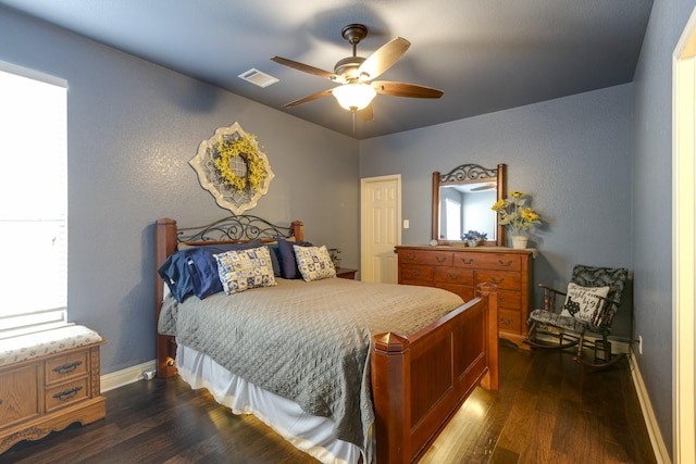 1970 Lake Forest Dr, Rockwall, TX 75087 - bedroom with dark wood-style flooring and multiple windows