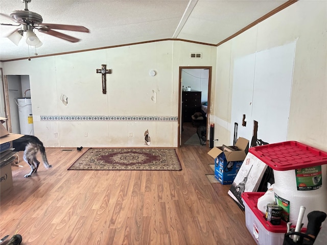 295 Denton Heights Ln, Weatherford, TX 76085 - living area with crown molding, lofted ceiling, wood finished floors, a ceiling fan, and water heater