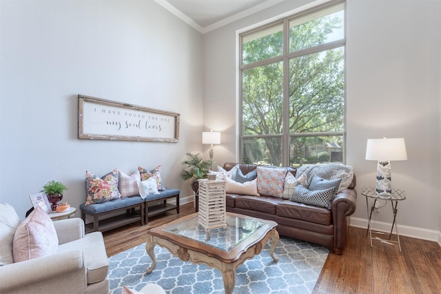 11640 Mesa Verde Dr, Frisco, TX 75033 - living area featuring wood finished floors and ornamental molding
