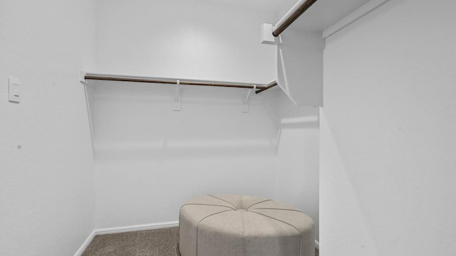 6628 Windfall Dr, Fort Worth, TX 76135 - spacious closet featuring carpet floors