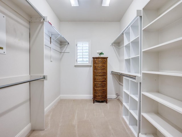 1901 Desoto Dr, Mckinney, TX 75072 - spacious closet with carpet floors