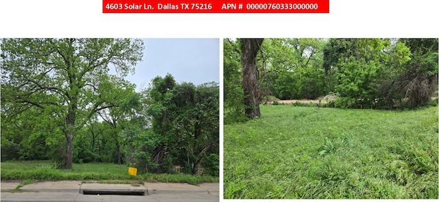 4603 Solar Ln, Dallas, TX 75216