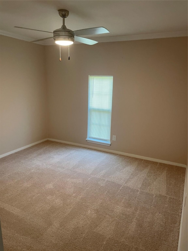 3954 Cambridge, Garland, TX 75043 - spare room featuring ornamental molding, carpet flooring, and ceiling fan