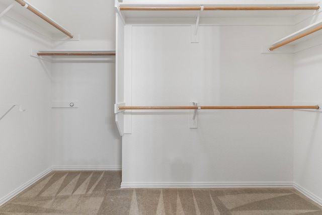6716 Armstrong Ct, Fort Worth, TX 76137 - spacious closet with carpet floors