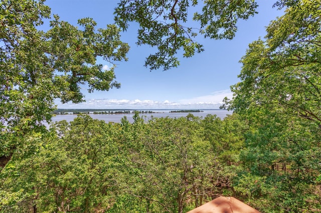 110 Waterview Ln, Pottsboro, TX 75076 - water view