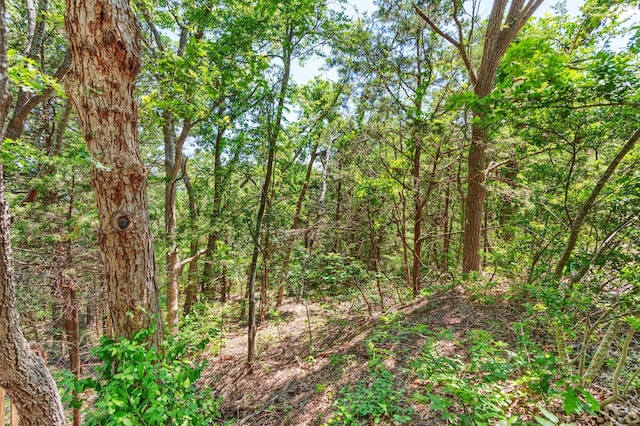 110 Waterview Ln, Pottsboro, TX 75076 - view of woods