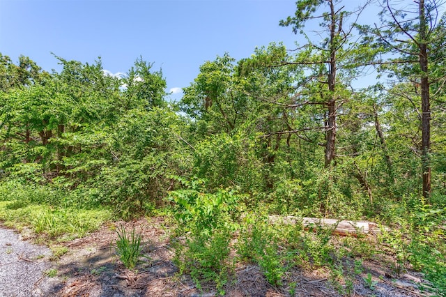110 Waterview Ln, Pottsboro, TX 75076 - view of wooded area