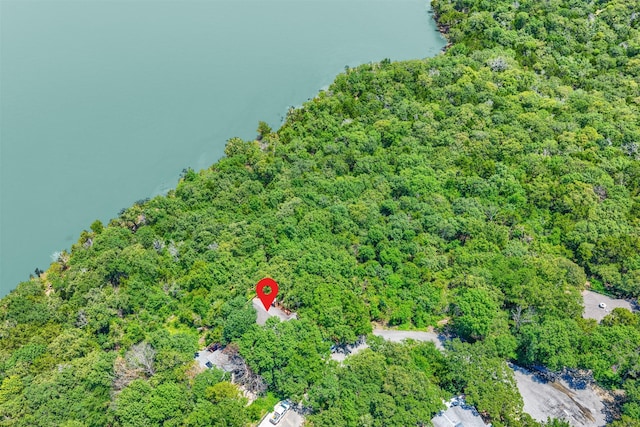 110 Waterview Ln, Pottsboro, TX 75076 - bird's eye view of a forest