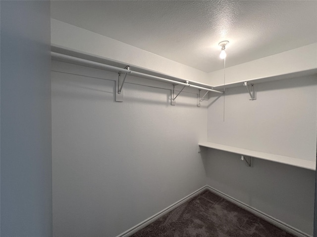 5729 Pearce St, The Colony, TX 75056 - walk in closet with dark colored carpet
