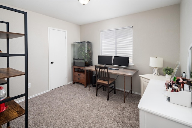 1722 Chestnut St, Anna, TX 75409 - home office featuring light carpet and baseboards
