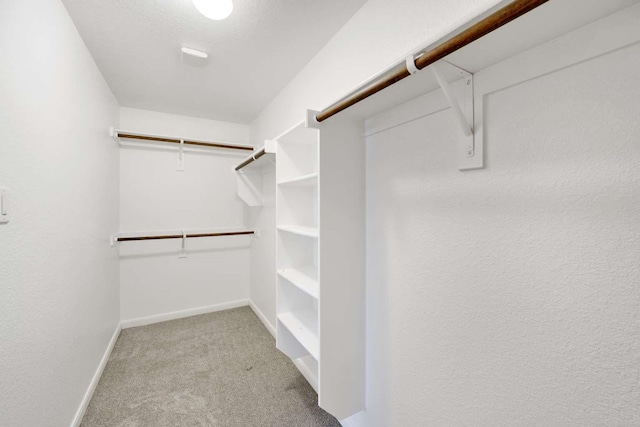 120 Big Bend Dr, Forney, TX 75126 - walk in closet with carpet flooring