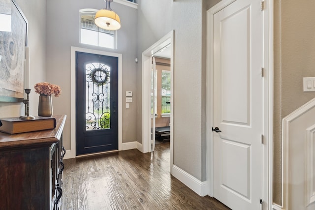 2824 Mastil Rd, Grand Prairie, TX 75054 - entrance foyer featuring healthy amount of natural light and dark wood-type flooring