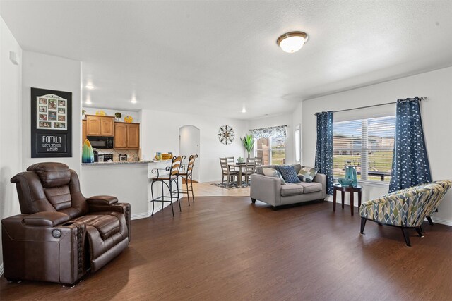 104 Knoll Ln, Decatur, TX 76234 - living room with arched walkways and dark wood-type flooring