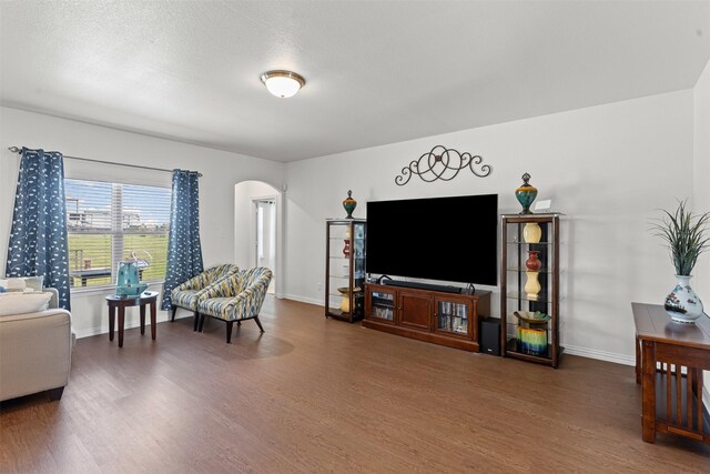 104 Knoll Ln, Decatur, TX 76234 - living room featuring arched walkways and wood finished floors