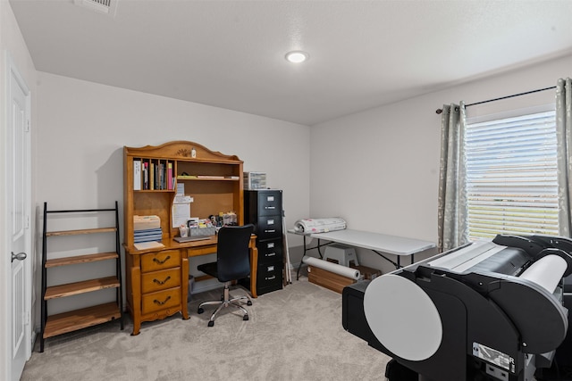 104 Knoll Ln, Decatur, TX 76234 - office featuring light carpet