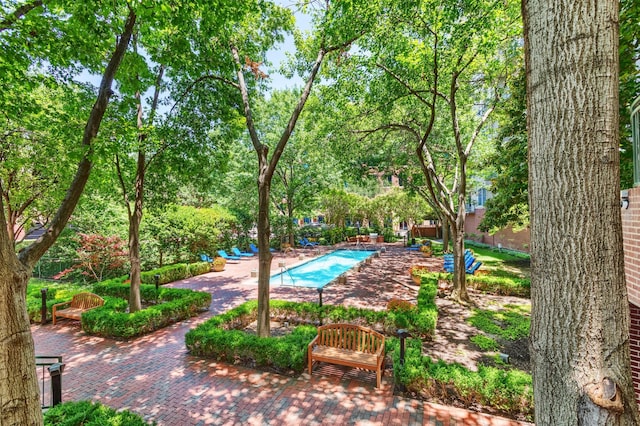 5055 Addison Cir Unit 413, Addison, TX 75001 - view of community pool