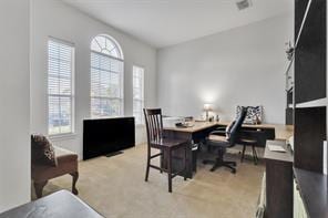 831 Fair Oaks Dr, Grand Prairie, TX 75052 - office area featuring plenty of natural light and light carpet